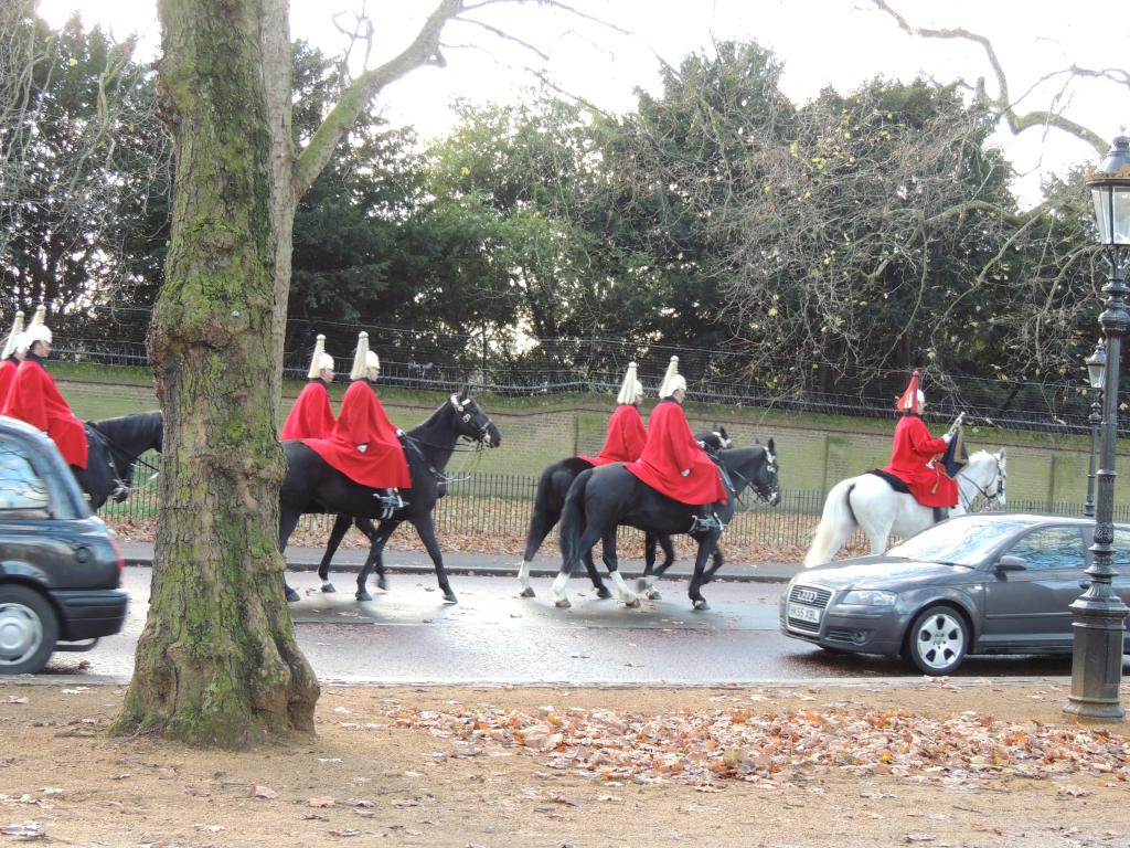 Queens Horse Guard