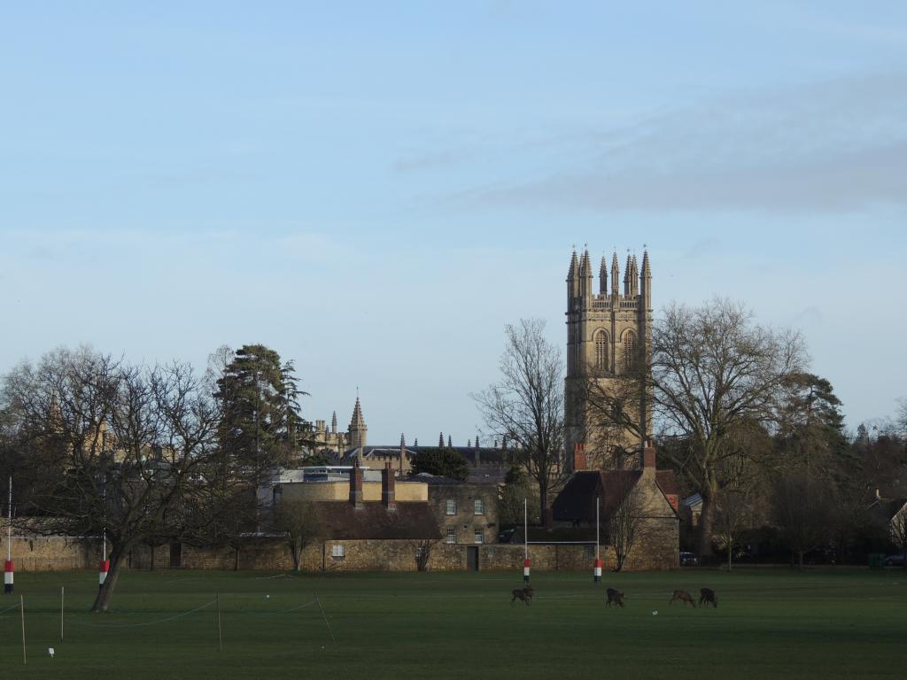 Mary Magdalene College