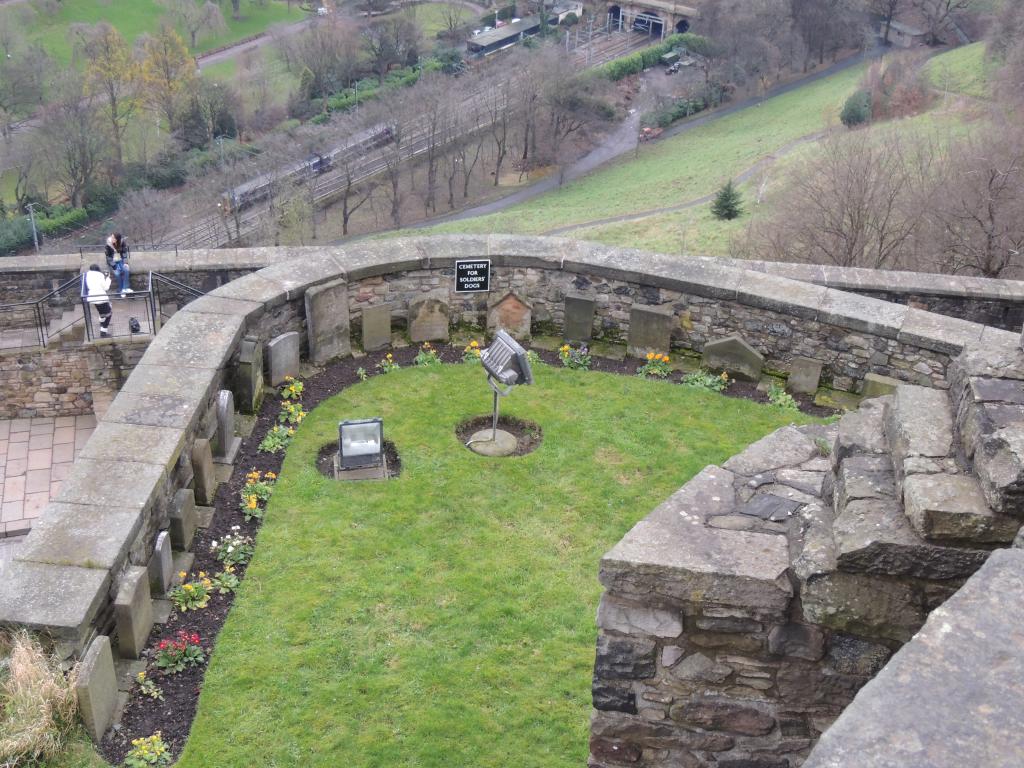 Graveyard for dogs lost in battle