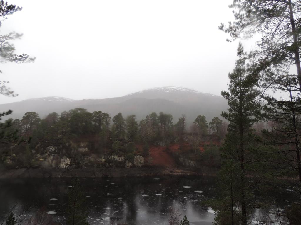 First views on our Glen Affric hike