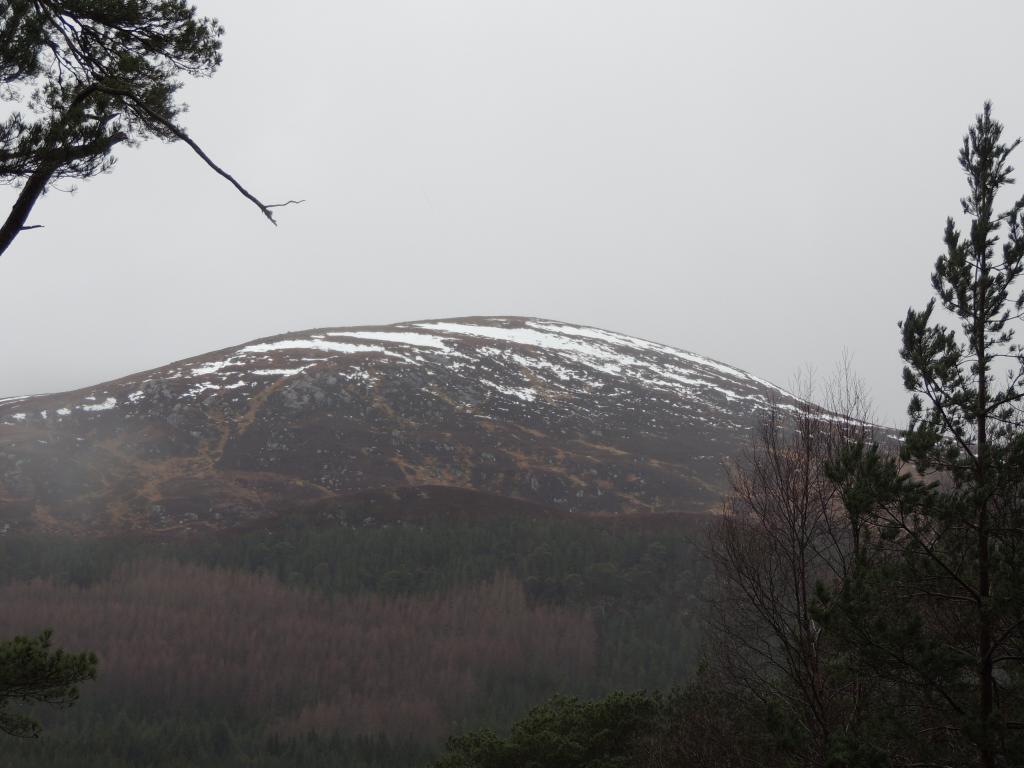 Some great views of the snowy mountains. Pity it was raining so we couldn't get more pics.