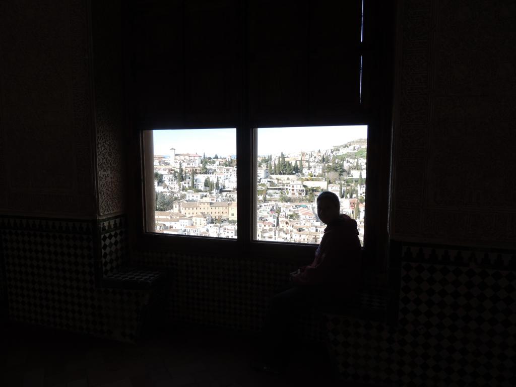 View of Granada from a window city