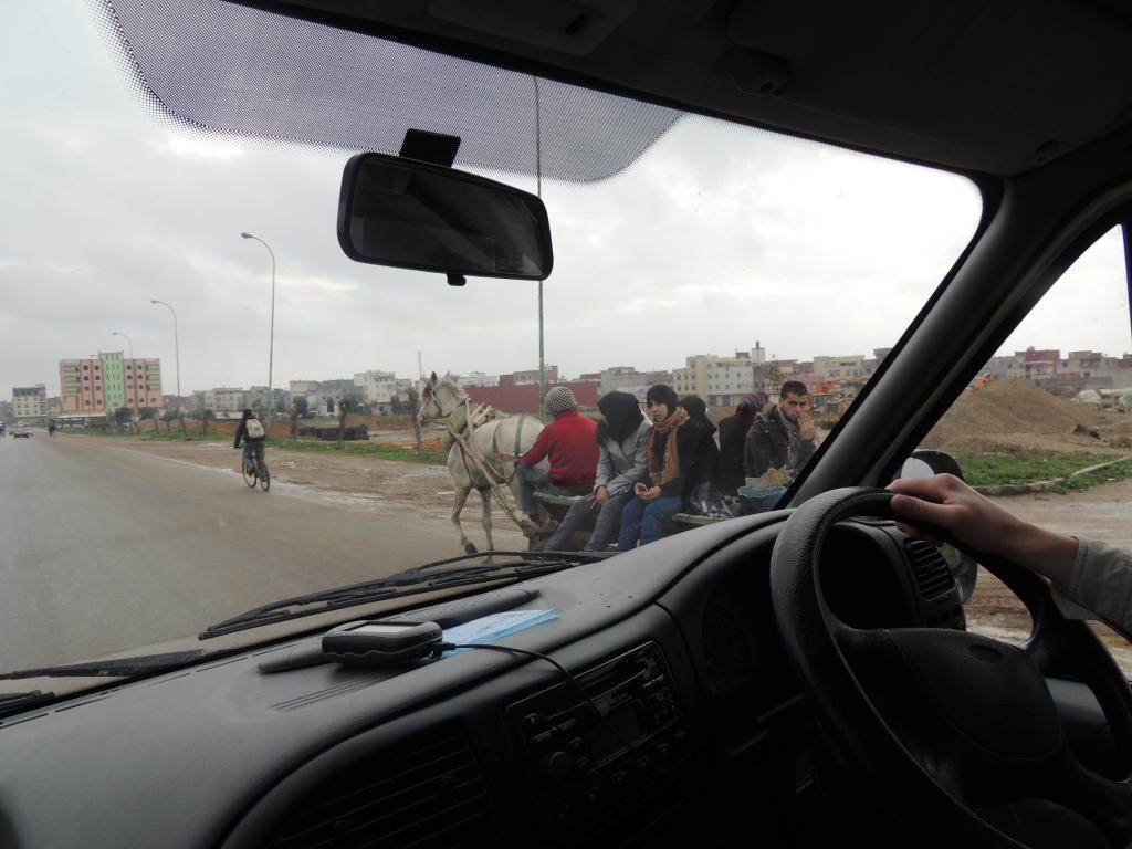 Horse and cart outside of an unknown town we drove through