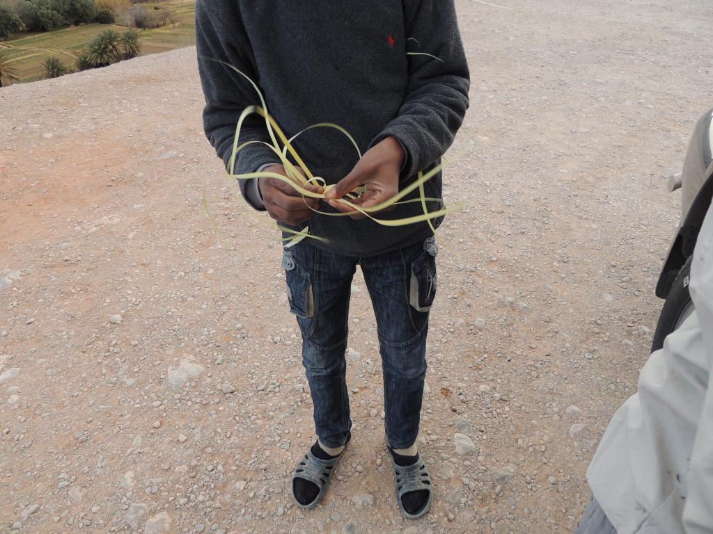 A young boy weaving animals out of leaves