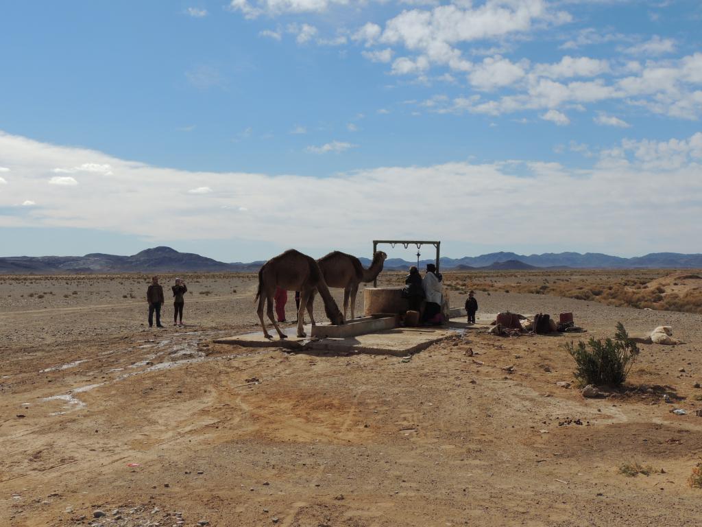 Nomads at the well getting water