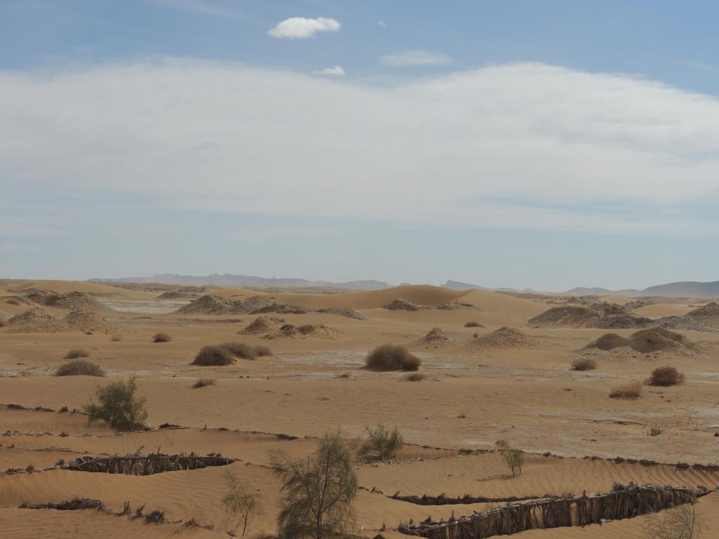 They are attempting to stop the flow of sand over the road using barriers