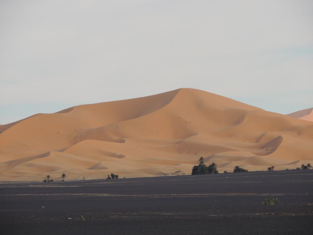 The dunes were HUGE and once you got amongst them there was always another one that was higher.