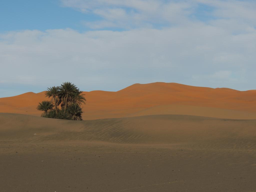 Within the Sahara. Golden dunes everywhere you looked