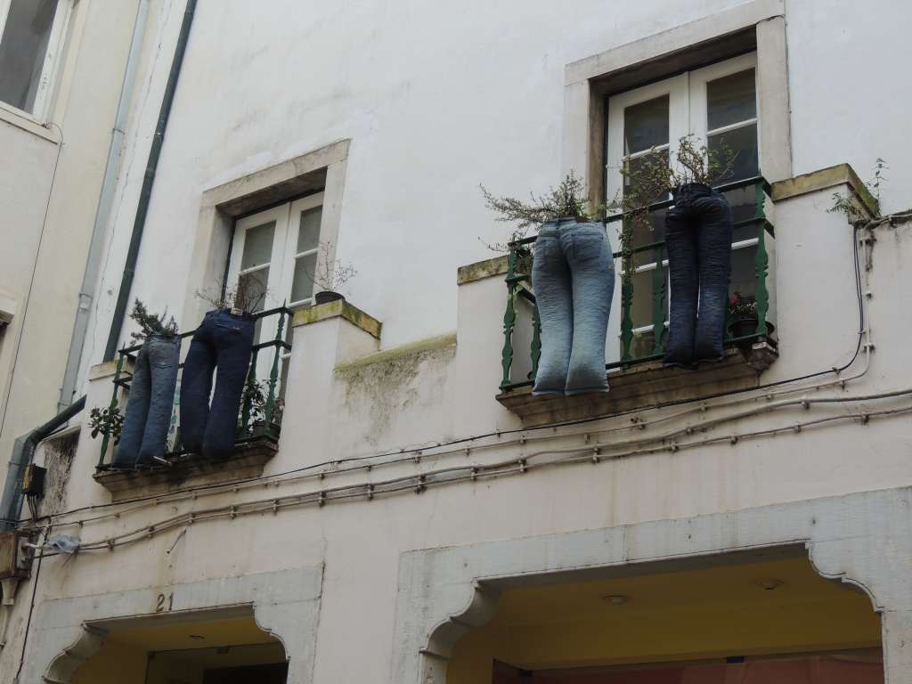 Pot plants using jeans