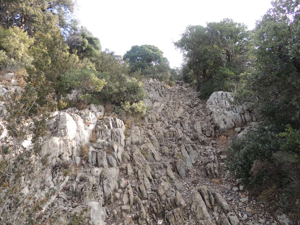 One of the many steep rocky paths we had to take to ascend Pic St Loup mountain