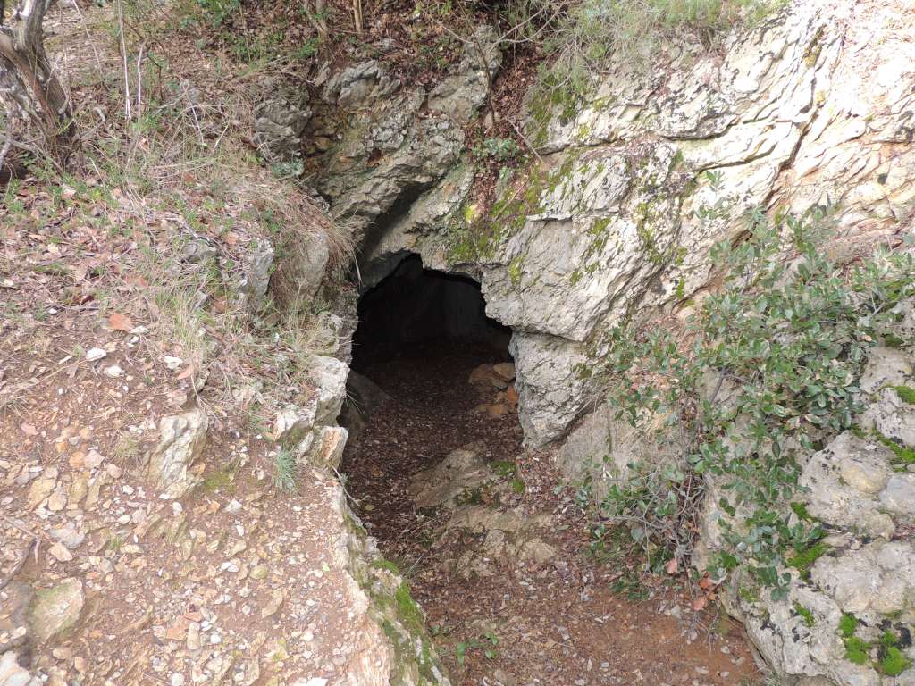 The cave we found. Didn't appear to go to far down when we entered a short way.