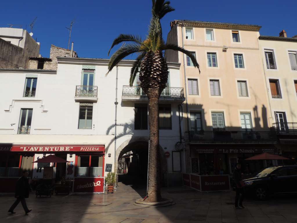 The other city emblem, the palm tree, both in honour of Augustus's conquest of Egypt