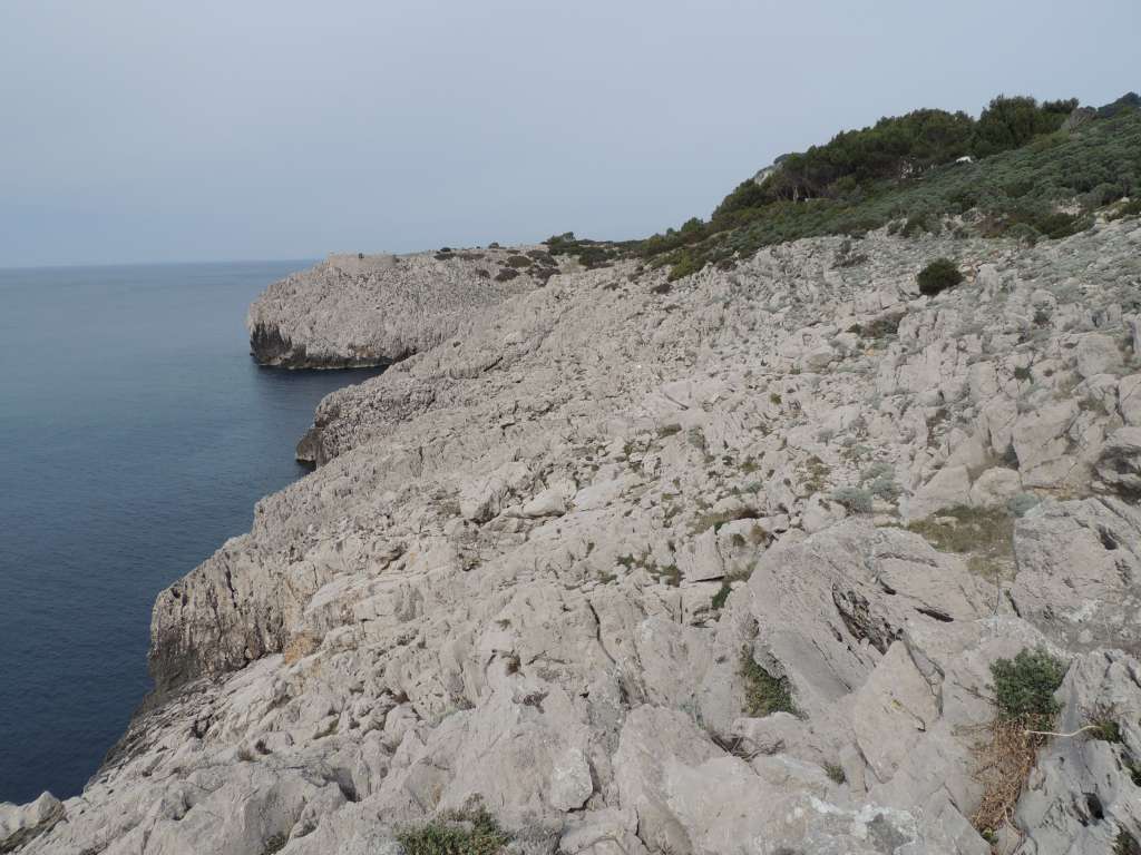 The sharp rocky cliffs