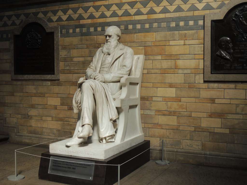 Charles Darwin statue