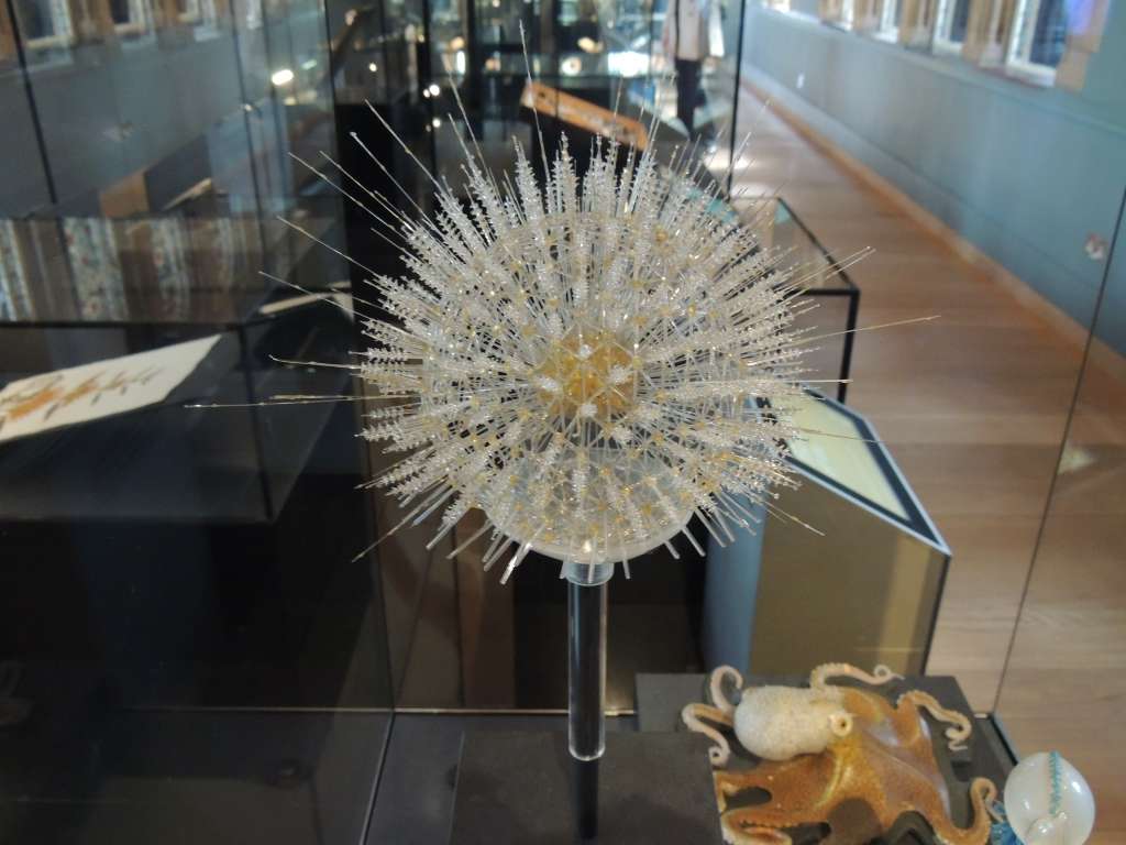 Glass sculpture of sea life