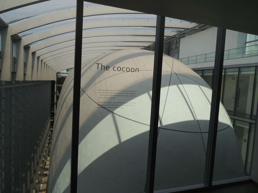 The Cocoon