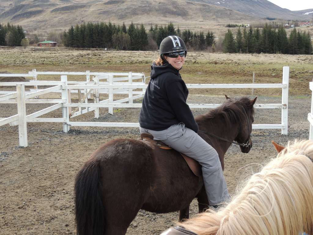 Our Icelandic horses. They are unique because they have 5 instead of 3 gaits that other horses have.