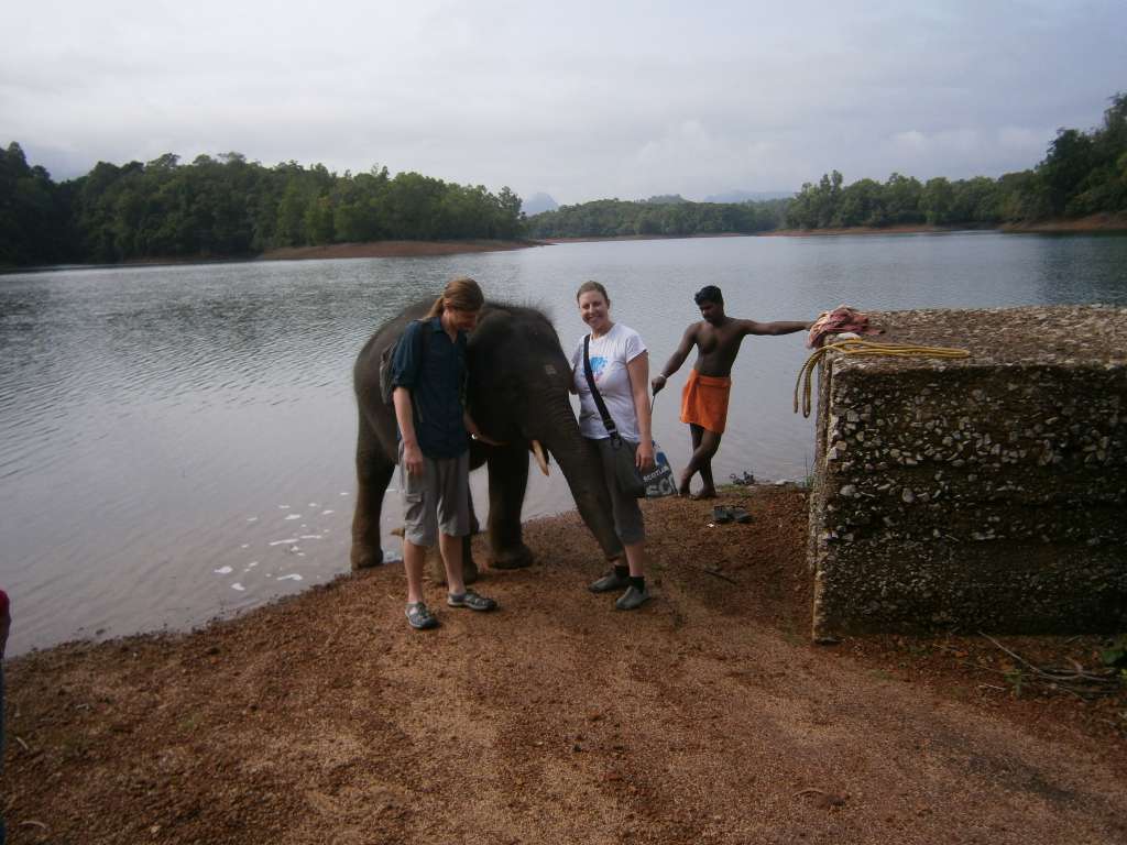 Washing the elephants