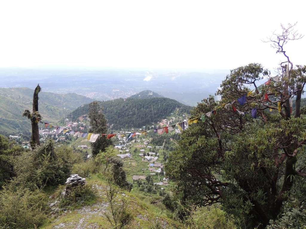 Looking down to McLeod Ganj (1750M) and Dharamakot (2000M) on our way to Triund hill. How did they get the prayer flags out onto the ends of those trees??