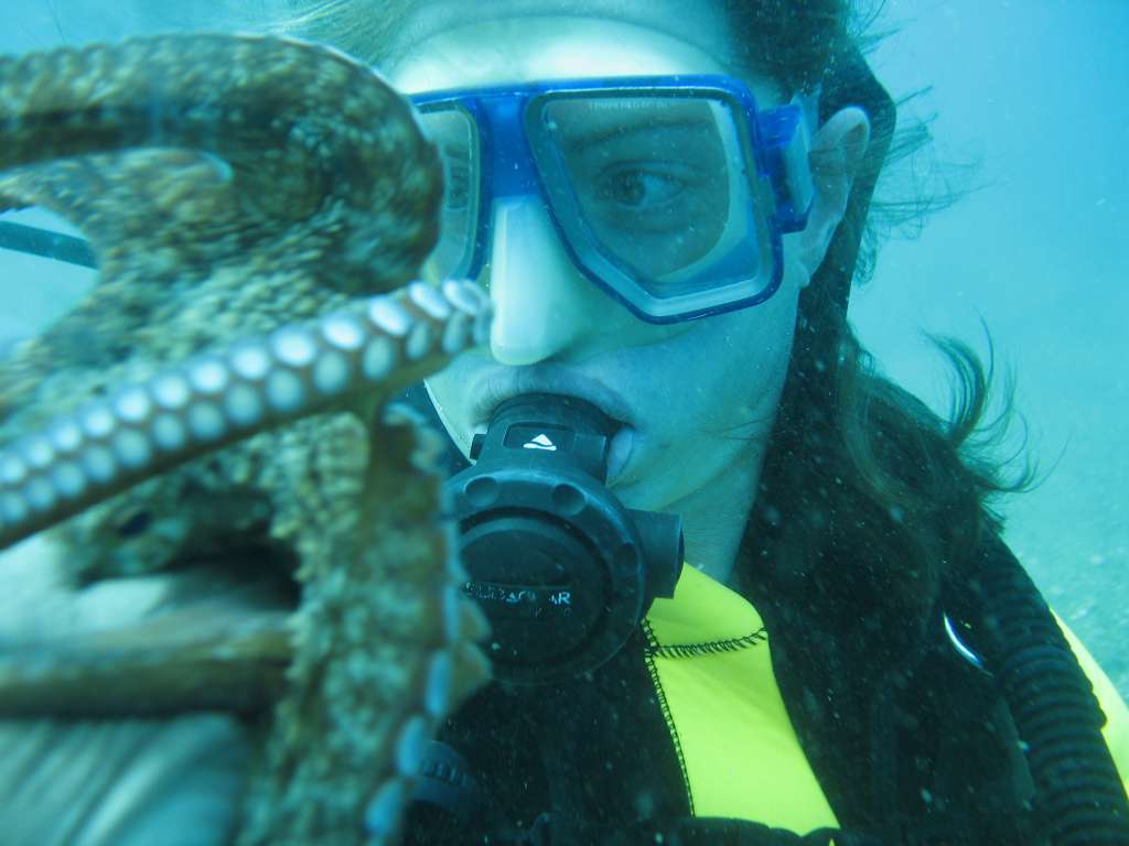 A friendly octobuddy