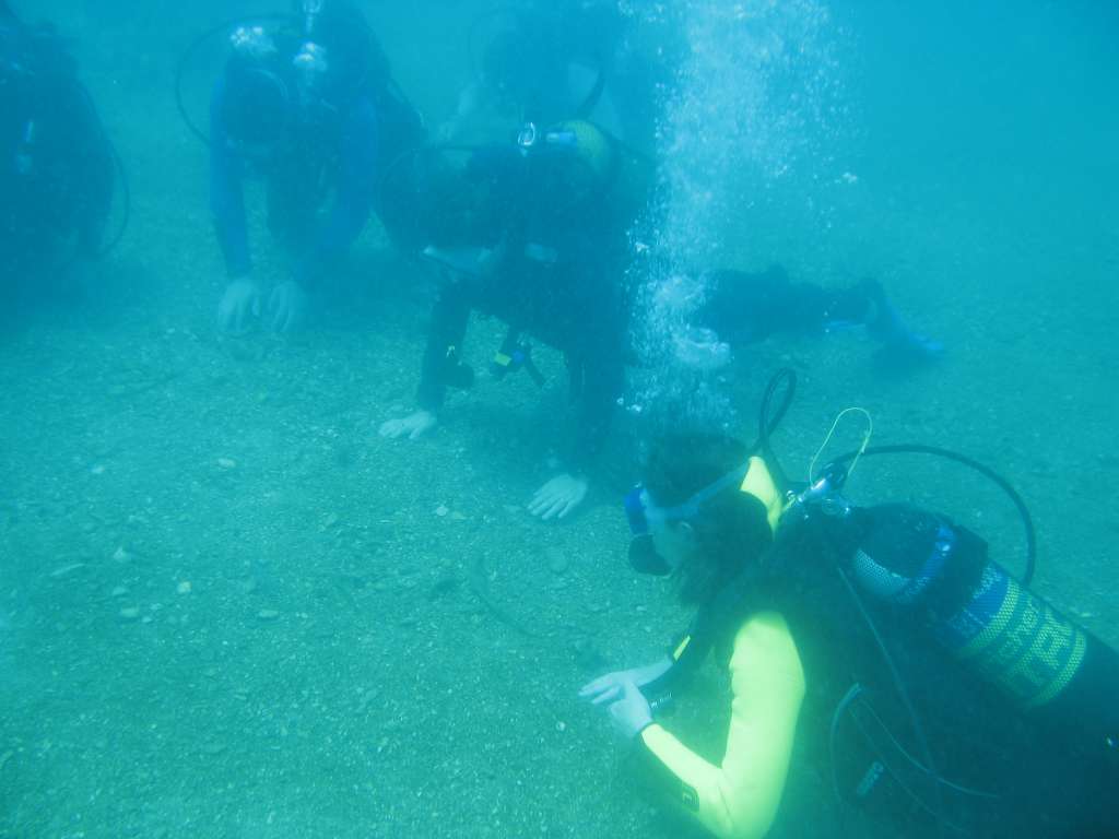 Warm water seeps through the rock here.