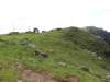 Triund hill!! Cows, horses and donkeys grazing at 3000M